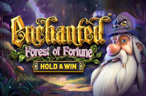 Enchanted: Forest of Fortune